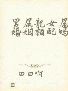 男属龙女属猴的婚姻相配吗