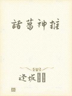 诸葛神推封面