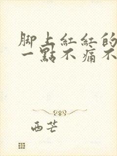 脚上红红的一点一点不痛不痒