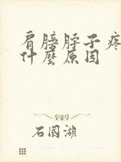 肩膀脖子疼痛是什么原因封面