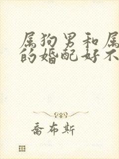 属狗男和属牛女的婚配好不好