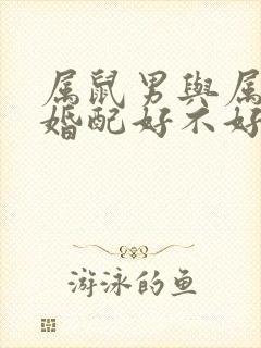 属鼠男与属龙女婚配好不好