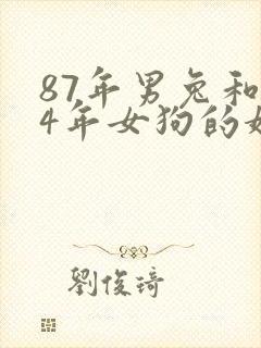 87年男兔和94年女狗的婚姻封面