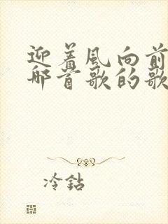 迎着风向前走是哪首歌的歌词