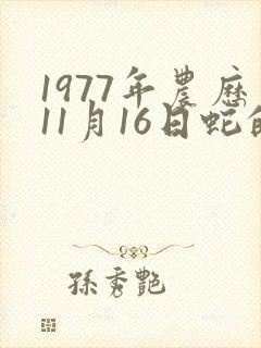 1977年农历11月16日蛇的命运及财运