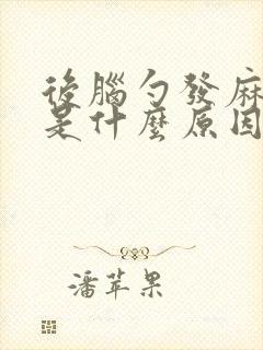 后脑勺发麻头晕是什么原因