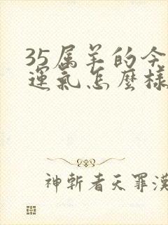 35属羊的今年运气怎么样封面