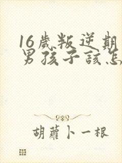 16岁叛逆期的男孩子该怎样去沟通教育