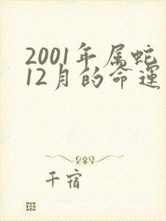 2001年属蛇12月的命运怎么样