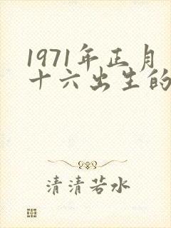1971年正月十六出生的命运如何封面