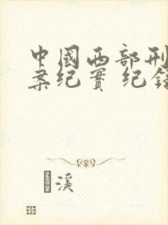 中国西部刑侦大案纪实 纪录片