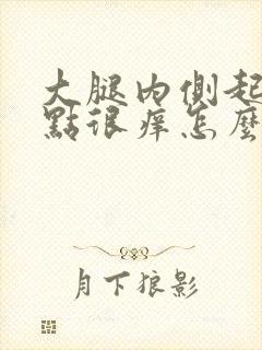 大腿内侧起红点点很痒怎么回事封面