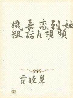 机长脔到她哭h粗话h视频