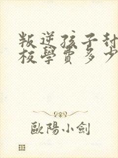 叛逆孩子封闭学校学费多少