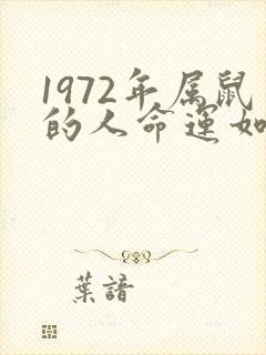 1972年属鼠的人命运如何