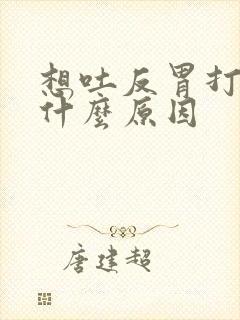 想吐反胃打嗝是什么原因