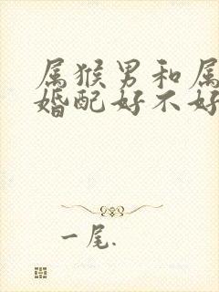 属猴男和属龙女婚配好不好