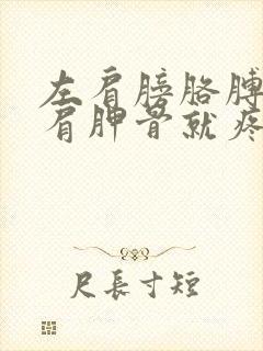 左肩膀胳膊一抬肩胛骨就疼