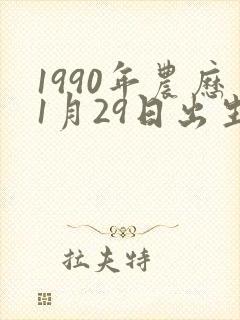 1990年农历1月29日出生是什么命
