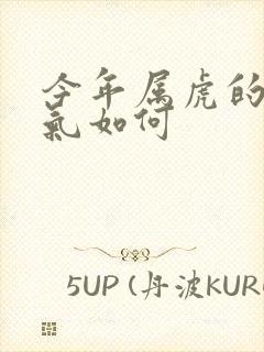 今年属虎的人运气如何