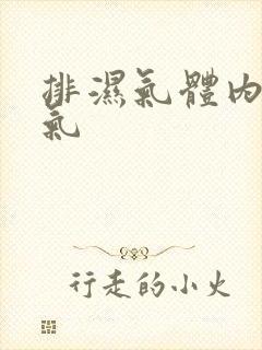 排湿气体内去湿气