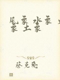 风象 水象 火象 土象