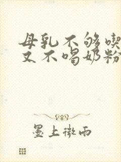 母乳不够吃宝宝又不喝奶粉怎么办封面