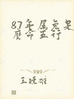 87年属兔是什么命五行