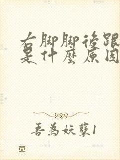 右脚脚后跟疼痛是什么原因引起的