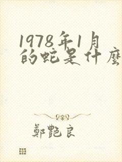 1978年1月的蛇是什么命