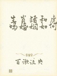 生肖猪和虎相配吗婚姻如何封面