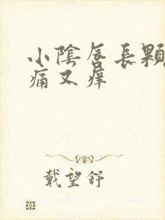 小阴唇长颗粒又痛又痒封面