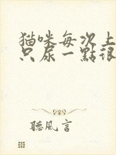 猫咪每次上厕所只尿一点很频繁