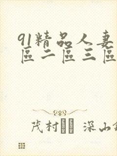 91精品人妻一区二区三区蜜桃2