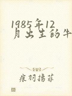 1985年12月出生的牛命运如何