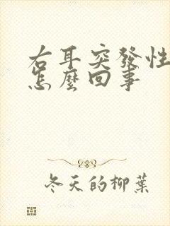 右耳突发性耳鸣怎么回事