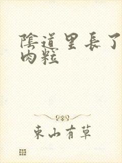 阴道里长了个小肉粒