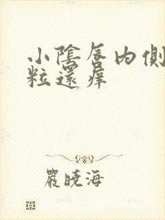 小阴唇内侧有肉粒还痒