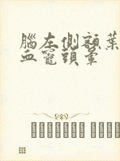 脑左侧额叶小缺血灶头晕