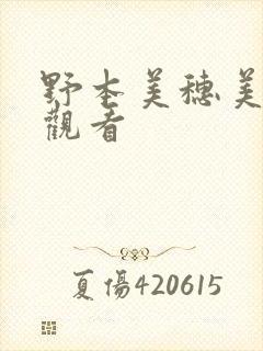 野本美穗美在线观看