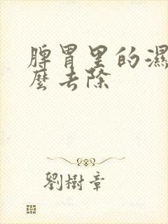 脾胃里的湿气怎么去除封面