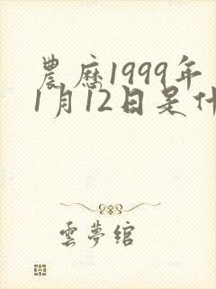 农历1999年1月12日是什么星座
