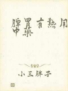 脾胃有热用什么中药