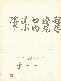 阴道口边起了一个小肉疙瘩