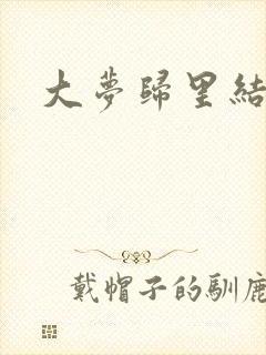 大梦归里结局封面