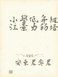 小学低年级学生注意力的培养封面