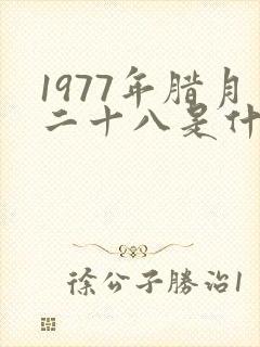 1977年腊月二十八是什么命