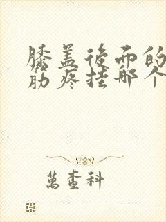 膝盖后面的腿窝筋疼挂哪个科