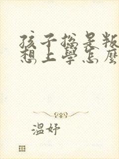 孩子总是叛逆不想上学怎么办