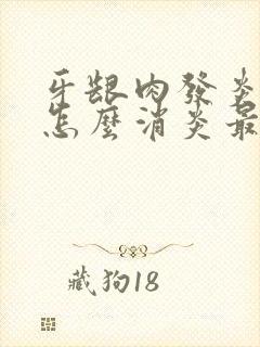 牙龈肉发炎肿痛怎么消炎最快